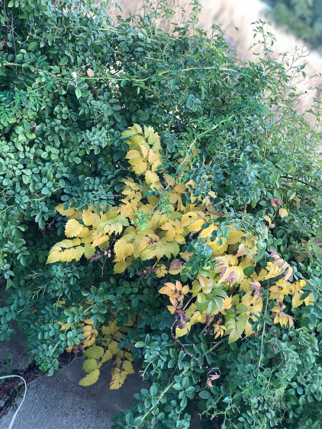 Four things to know this Friday