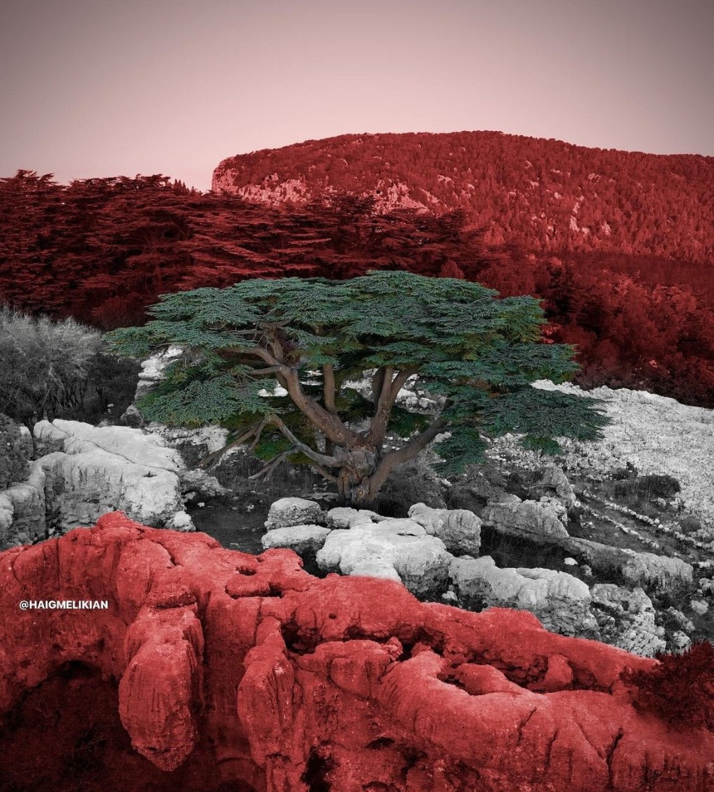 Four things to know this&nbsp;Friday